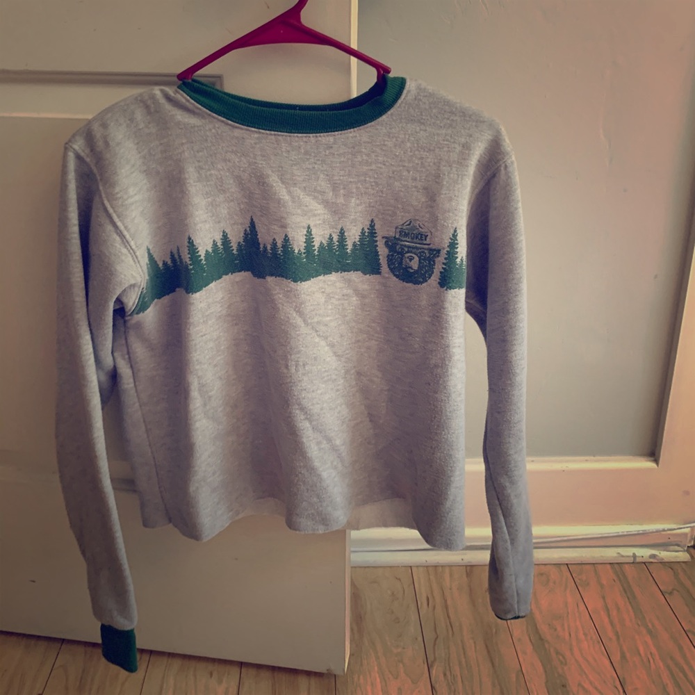 Grey Smokey the Bear sweater